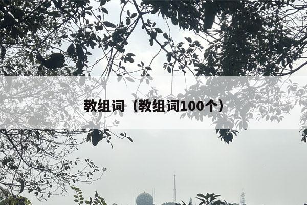 教组词（教组词100个）