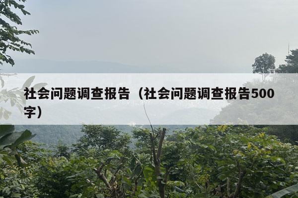 社会问题调查报告（社会问题调查报告500字）