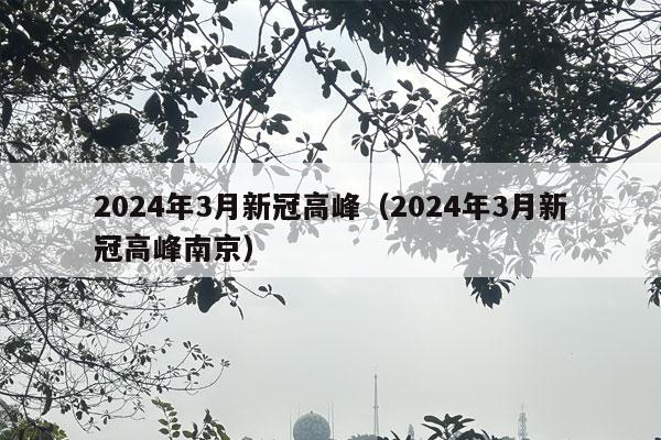 2024年3月新冠高峰（2024年3月新冠高峰南京）