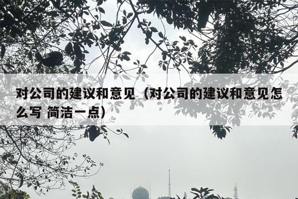 对公司的建议和意见（对公司的建议和意见怎么写 简洁一点）