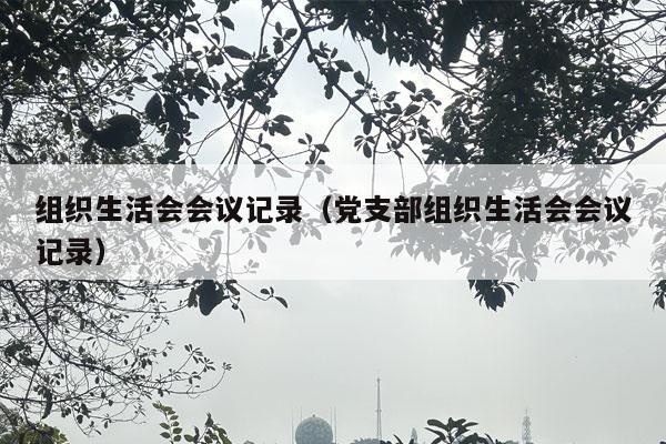 组织生活会会议记录（党支部组织生活会会议记录）