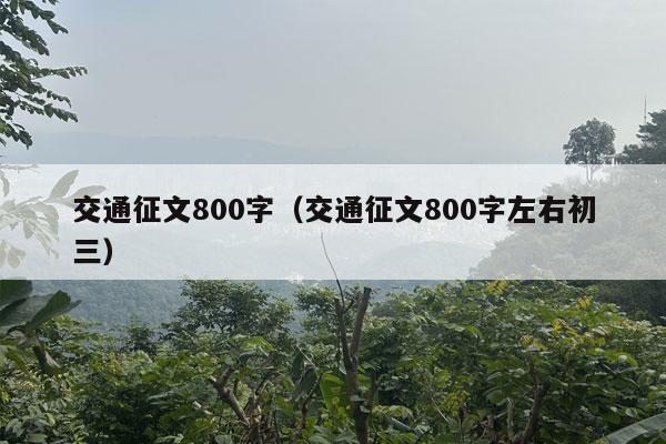 交通征文800字（交通征文800字左右初三）