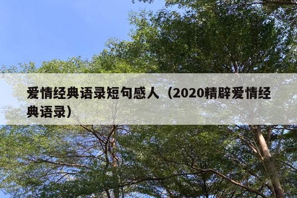 爱情经典语录短句感人（2020精辟爱情经典语录）