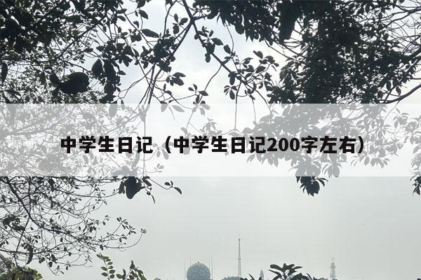 中学生日记（中学生日记200字左右）