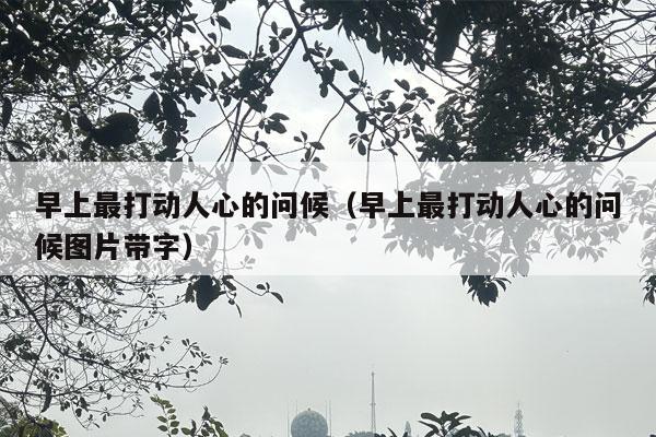 早上最打动人心的问候（早上最打动人心的问候图片带字）