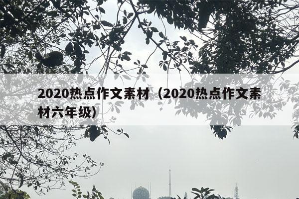 2020热点作文素材（2020热点作文素材六年级）