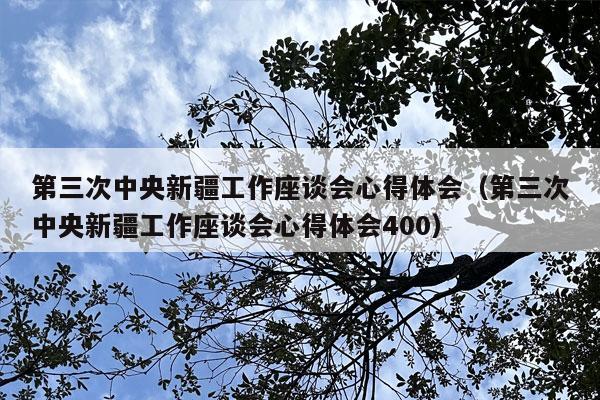 第三次中央新疆工作座谈会心得体会（第三次中央新疆工作座谈会心得体会400）