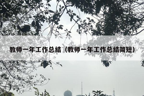 教师一年工作总结（教师一年工作总结简短）