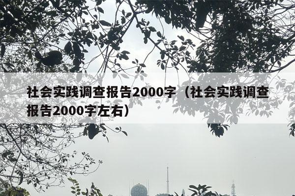 社会实践调查报告2000字（社会实践调查报告2000字左右）