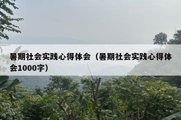 暑期社会实践心得体会（暑期社会实践心得体会1000字）