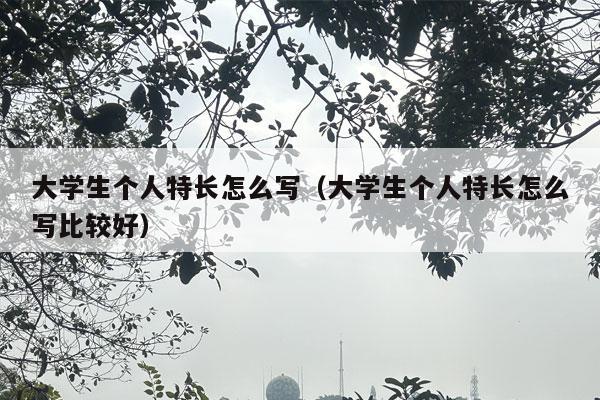 大学生个人特长怎么写（大学生个人特长怎么写比较好）