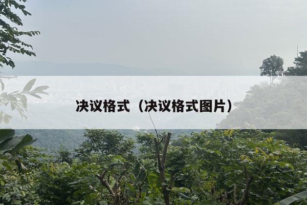 决议格式（决议格式图片）