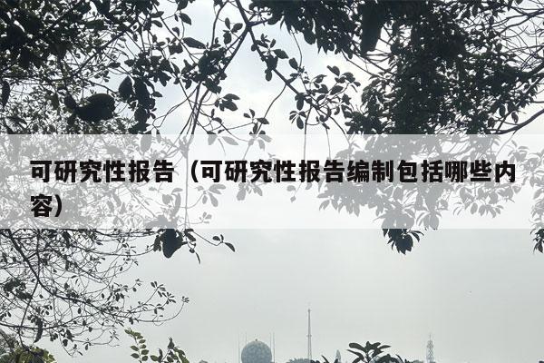 可研究性报告（可研究性报告编制包括哪些内容）