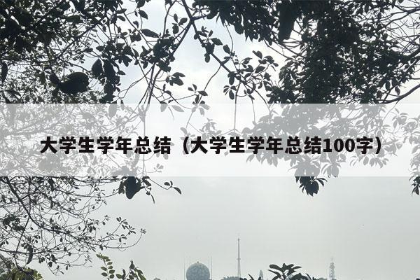 大学生学年总结（大学生学年总结100字）