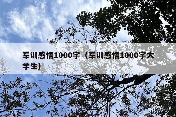 军训感悟1000字（军训感悟1000字大学生）