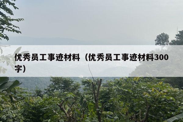 优秀员工事迹材料（优秀员工事迹材料300字）