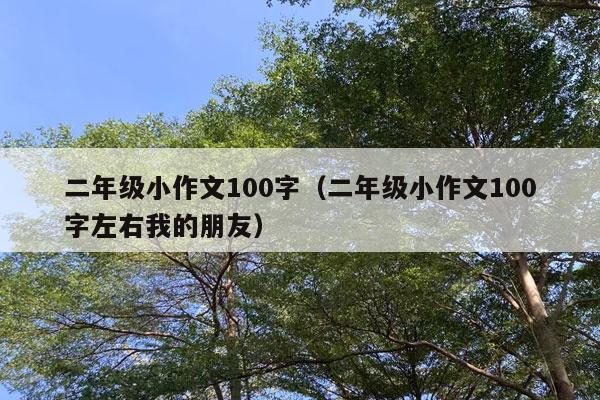 二年级小作文100字（二年级小作文100字左右我的朋友）