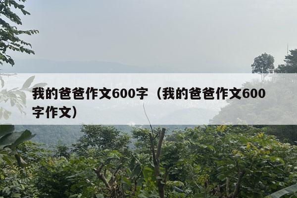 我的爸爸作文600字（我的爸爸作文600字作文）