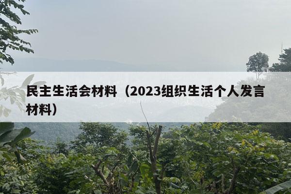 民主生活会材料（2023组织生活个人发言材料）