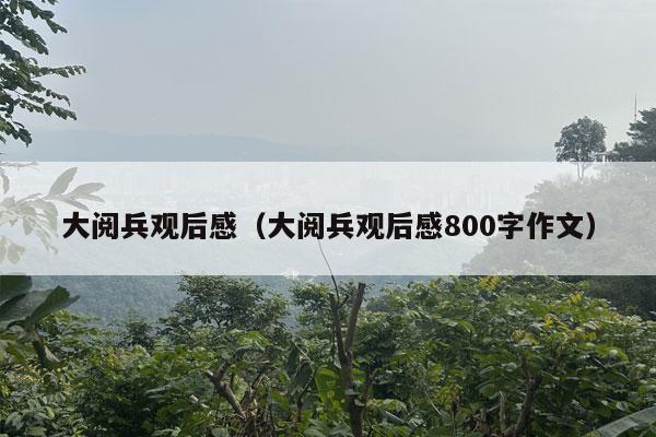 大阅兵观后感（大阅兵观后感800字作文）