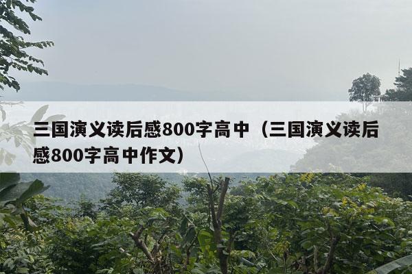 三国演义读后感800字高中（三国演义读后感800字高中作文）