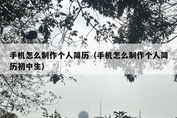 手机怎么制作个人简历（手机怎么制作个人简历初中生）