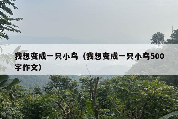 我想变成一只小鸟（我想变成一只小鸟500字作文）