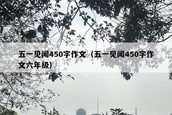 五一见闻450字作文（五一见闻450字作文六年级）