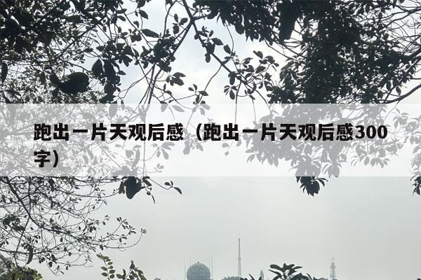 跑出一片天观后感（跑出一片天观后感300字）