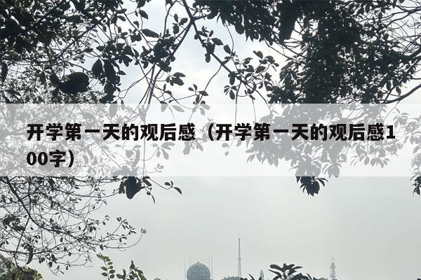 开学第一天的观后感（开学第一天的观后感100字）