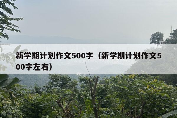 新学期计划作文500字（新学期计划作文500字左右）