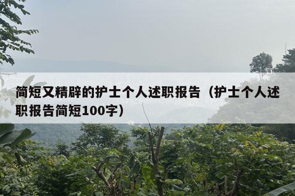 简短又精辟的护士个人述职报告（护士个人述职报告简短100字）