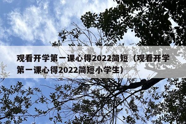 观看开学第一课心得2022简短（观看开学第一课心得2022简短小学生）