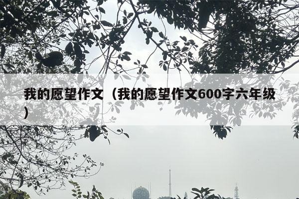 我的愿望作文（我的愿望作文600字六年级）