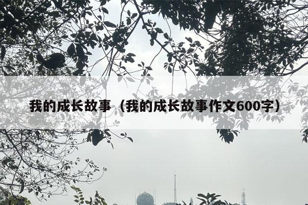 我的成长故事（我的成长故事作文600字）