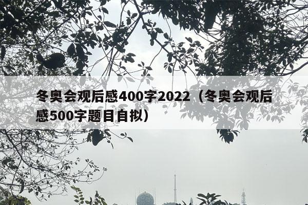 冬奥会观后感400字2022（冬奥会观后感500字题目自拟）