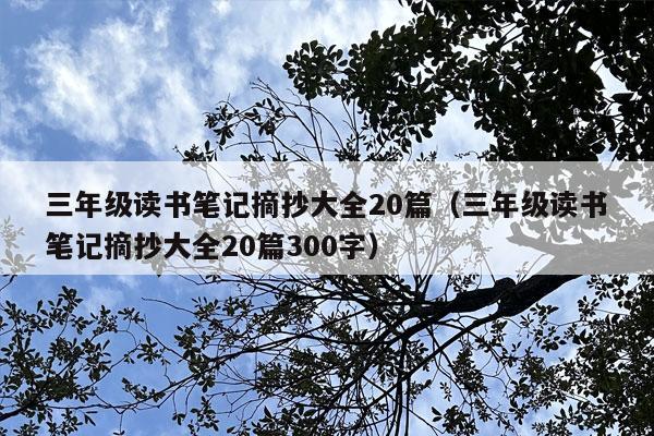 三年级读书笔记摘抄大全20篇（三年级读书笔记摘抄大全20篇300字）