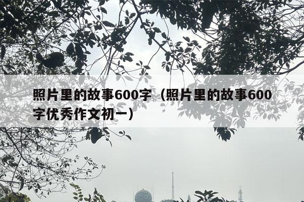 照片里的故事600字（照片里的故事600字优秀作文初一）