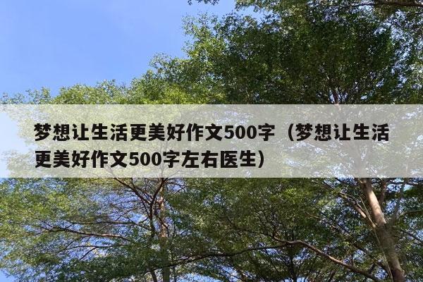 梦想让生活更美好作文500字（梦想让生活更美好作文500字左右医生）