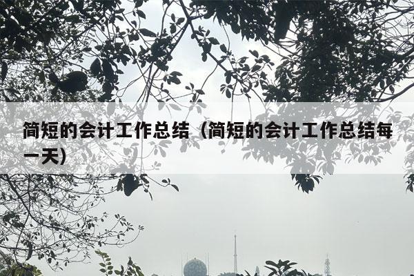 简短的会计工作总结（简短的会计工作总结每一天）