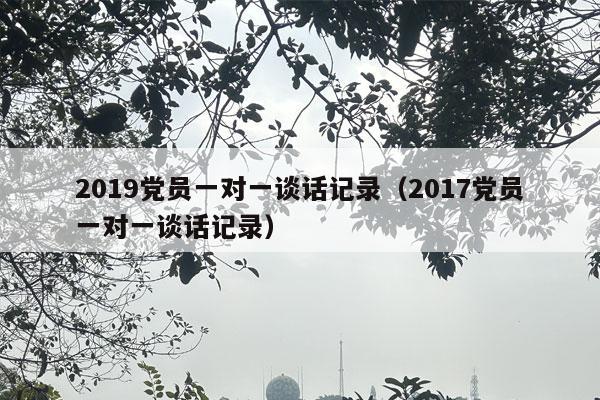 2019党员一对一谈话记录（2017党员一对一谈话记录）