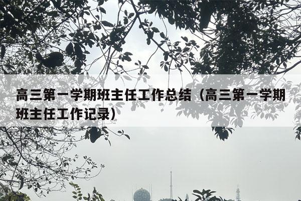 高三第一学期班主任工作总结（高三第一学期班主任工作记录）