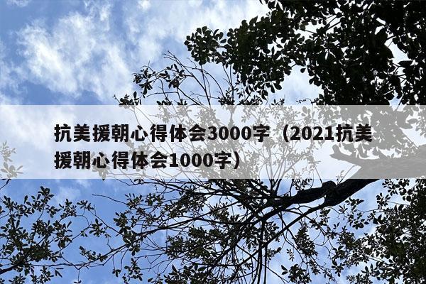 抗美援朝心得体会3000字（2021抗美援朝心得体会1000字）