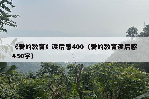 《爱的教育》读后感400（爱的教育读后感450字）