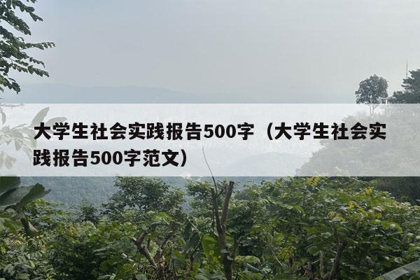 大学生社会实践报告500字（大学生社会实践报告500字范文）