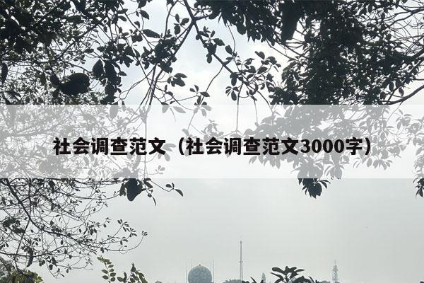 社会调查范文（社会调查范文3000字）