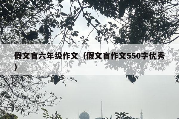 假文盲六年级作文（假文盲作文550字优秀）