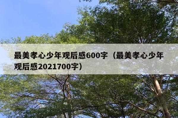 最美孝心少年观后感600字（最美孝心少年观后感2021700字）