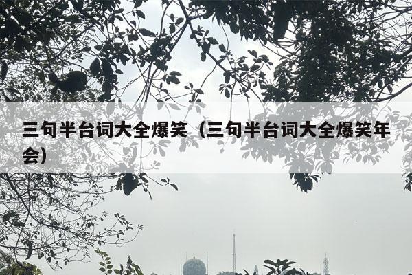 三句半台词大全爆笑（三句半台词大全爆笑年会）