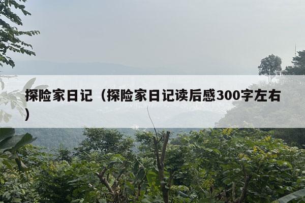 探险家日记（探险家日记读后感300字左右）